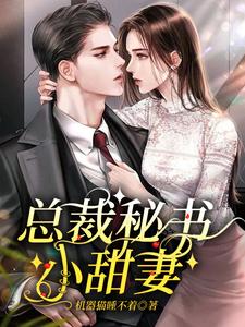 总裁秘书小七